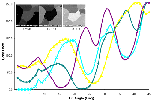 Correlation Between Grey Level Variation of Individual Al Grains and Sample Tilt