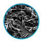 Corrosion Image
