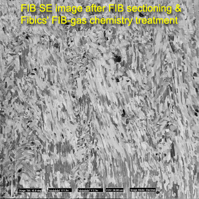 Grain Contrast Image